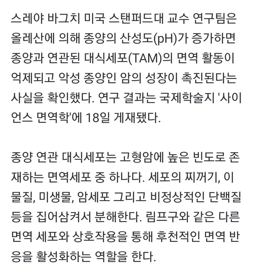 올리브유 속 올레산의 반전 위험ᆢ