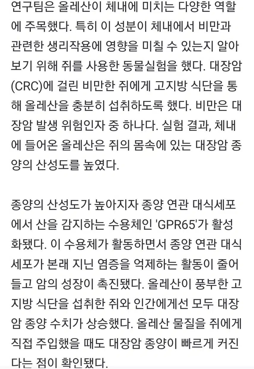 올리브유 속 올레산의 반전 위험ᆢ