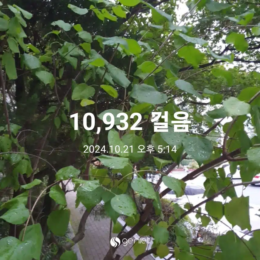 오늘은 일찍 만보 완료했어요