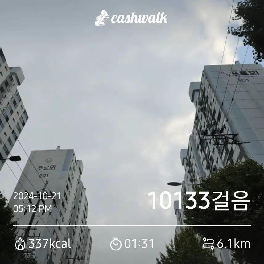 10,000보 인증합니다