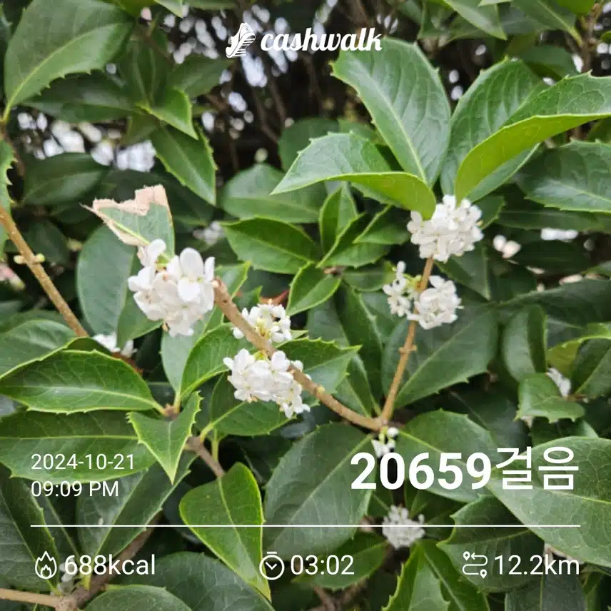 오늘은 이만보 걸었습니다.