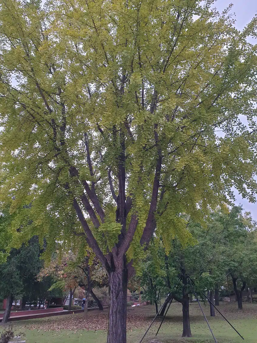 하루 잘 보냈지요♡