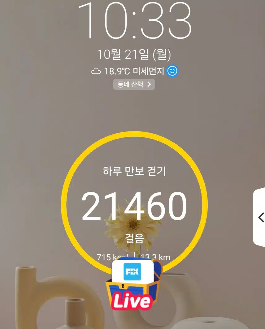 2만1천보 걷기