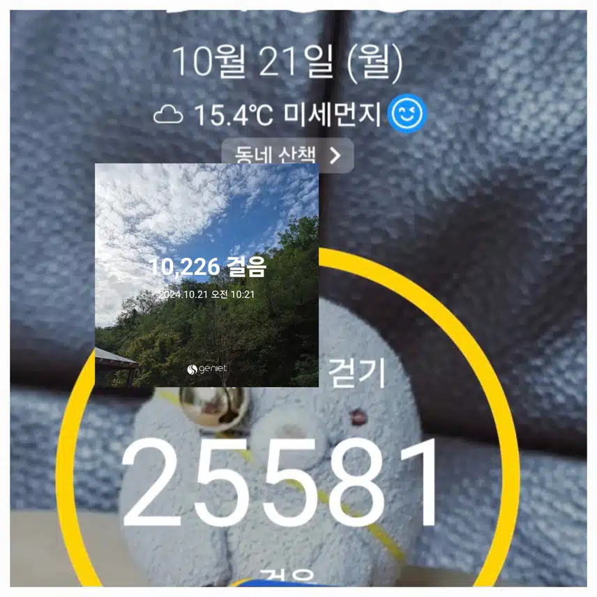 월요일 걷기 인증할께요(^_^)v