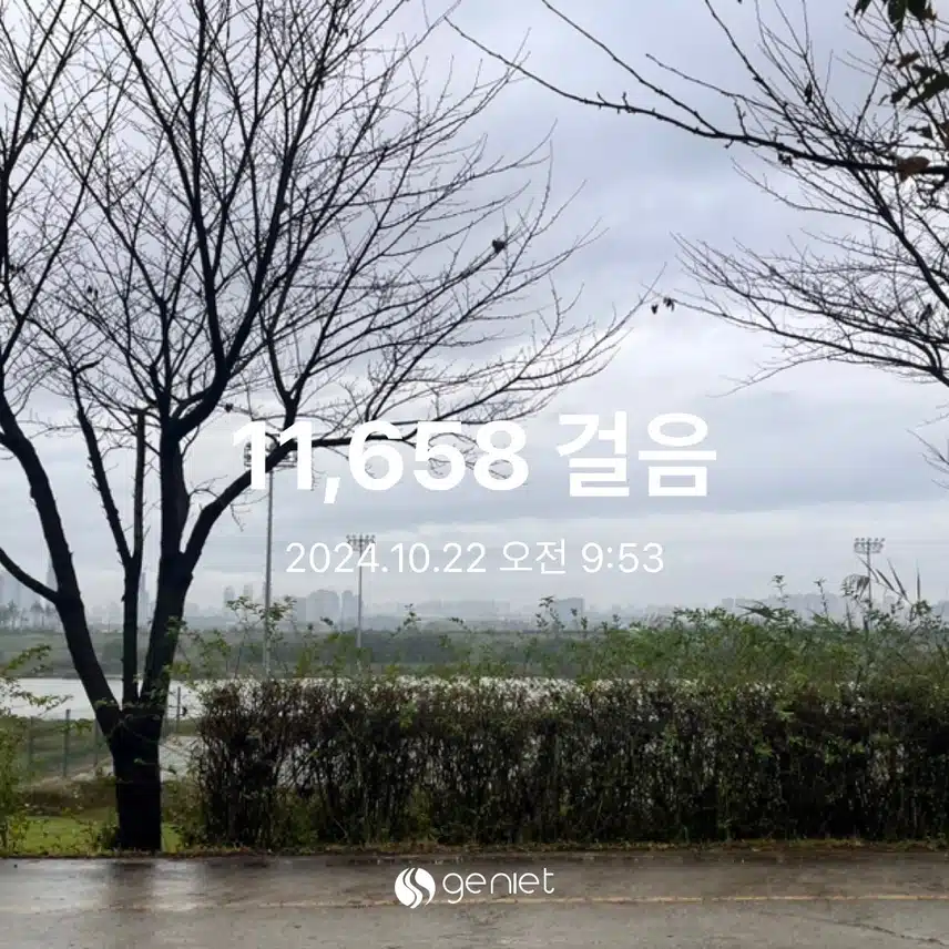7816257.jpg