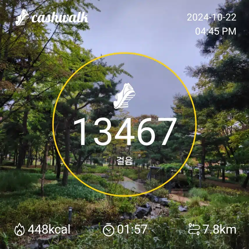 화요일 만보걷기 