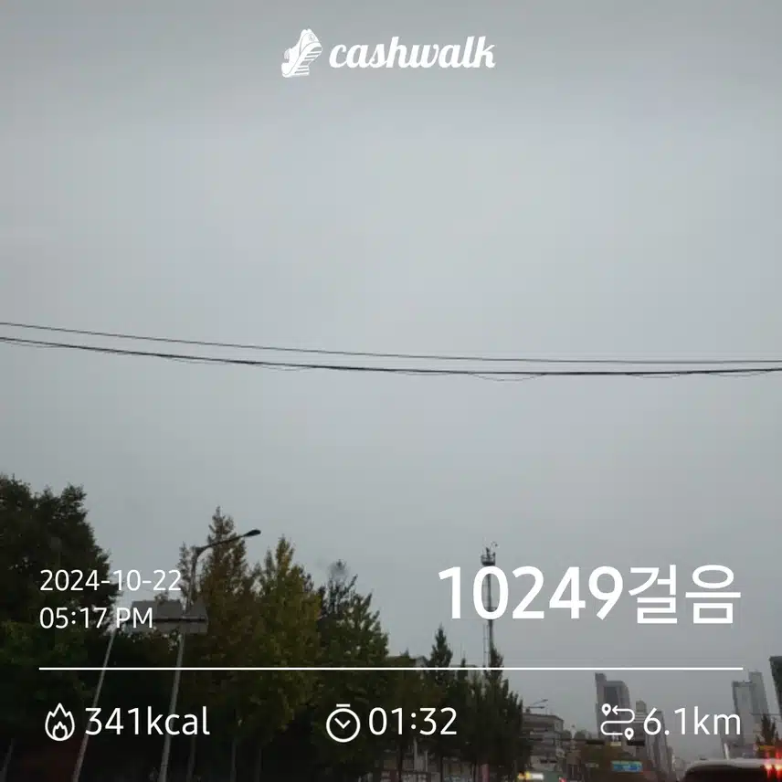 비가와도 10.000보 인증