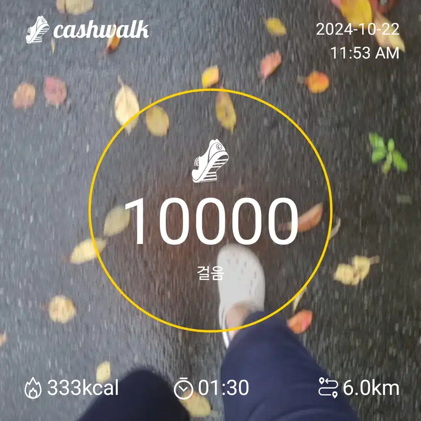 10/22 오운완