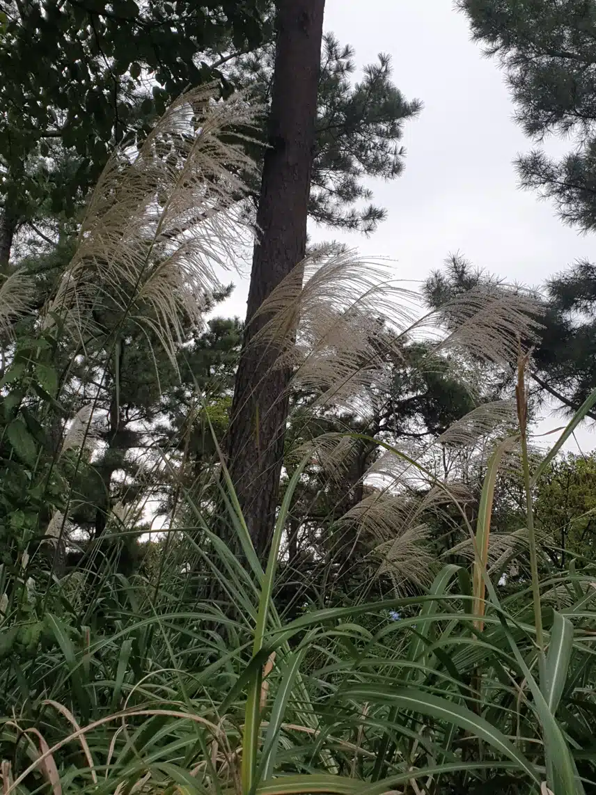 오늘하루도 감사♡