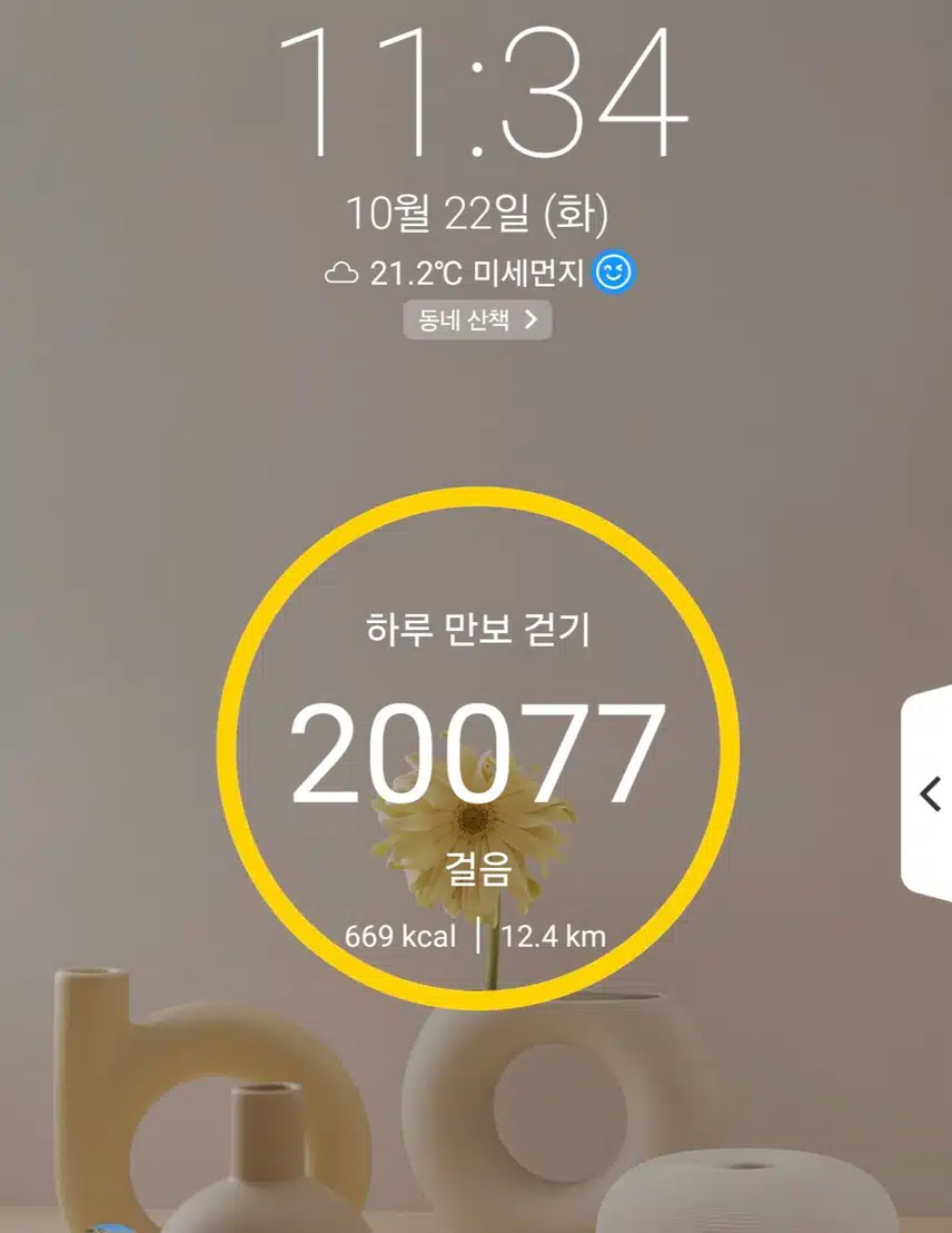 2만보 걷기