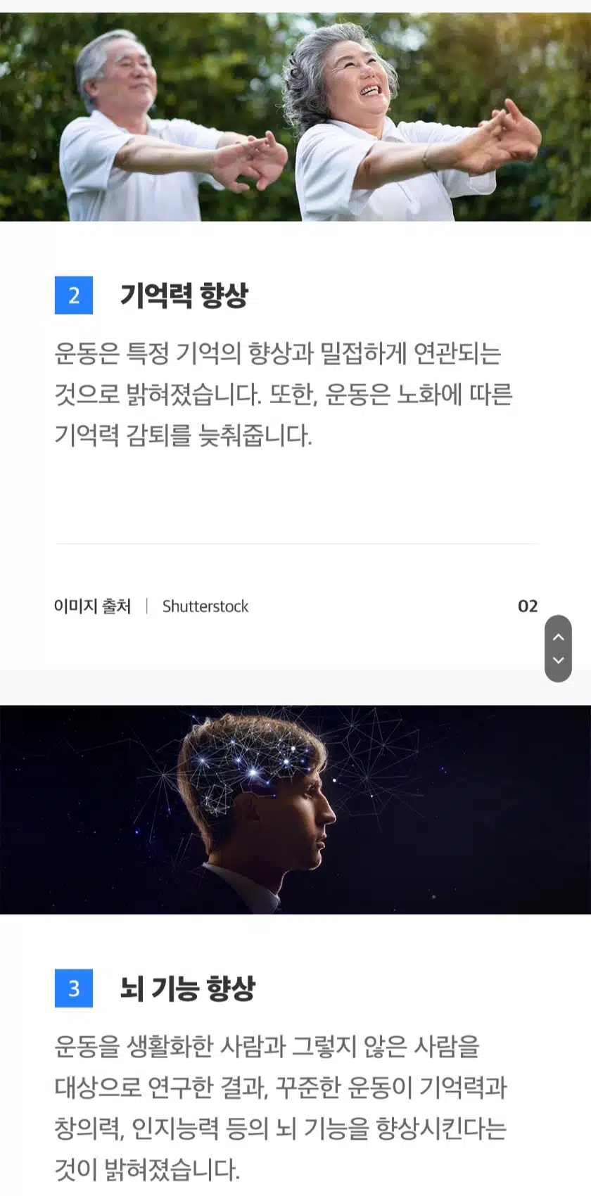 신체 운동이 정말로 뇌 기능 향상에 도움이 될까요?