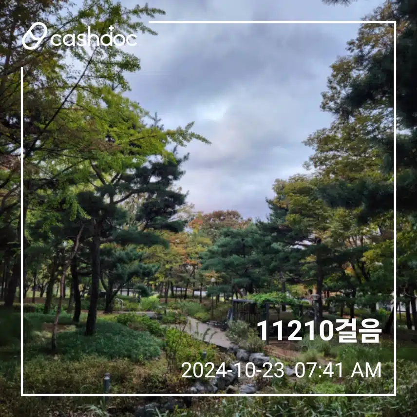 수요일 오운완 