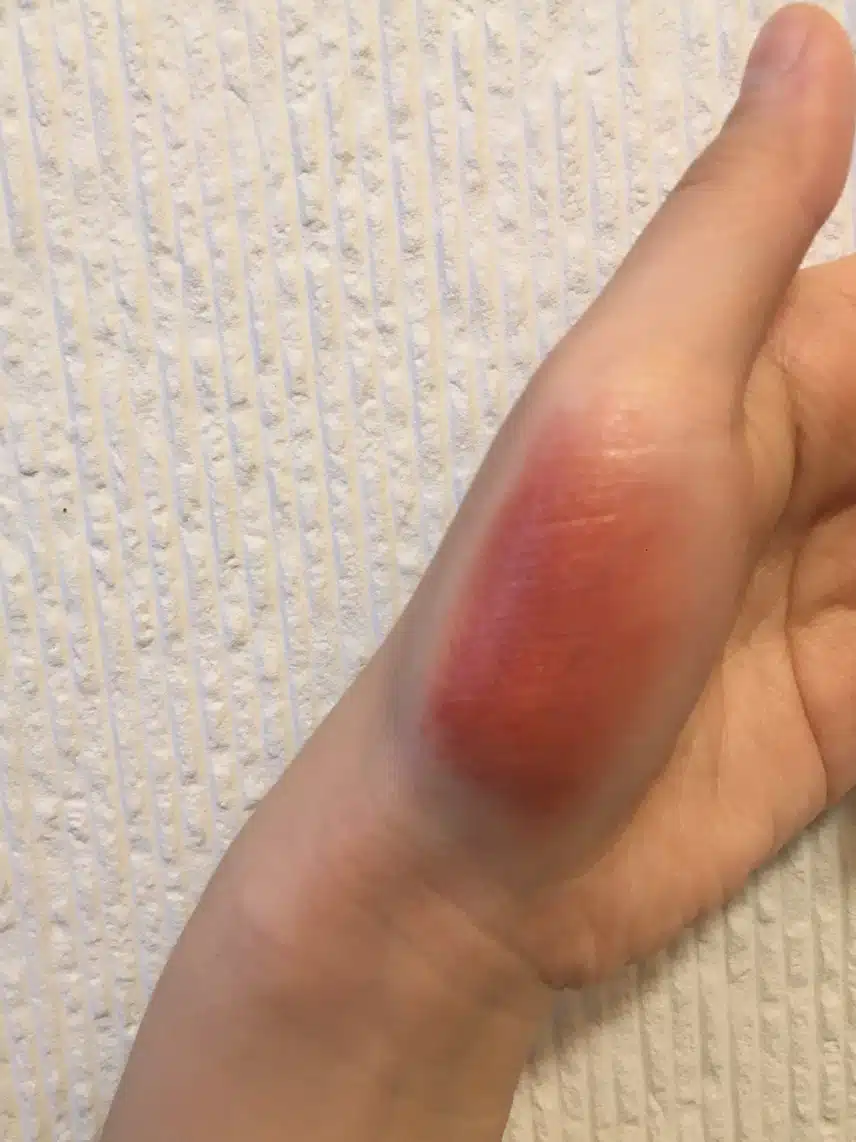 🤎 가을웜의 내돈내산 찐애정템 소개 🤎