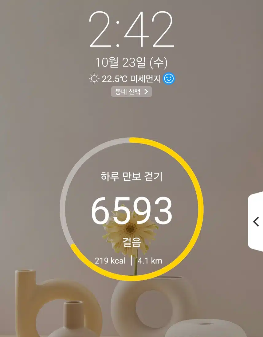 하루 6천보 걷기 