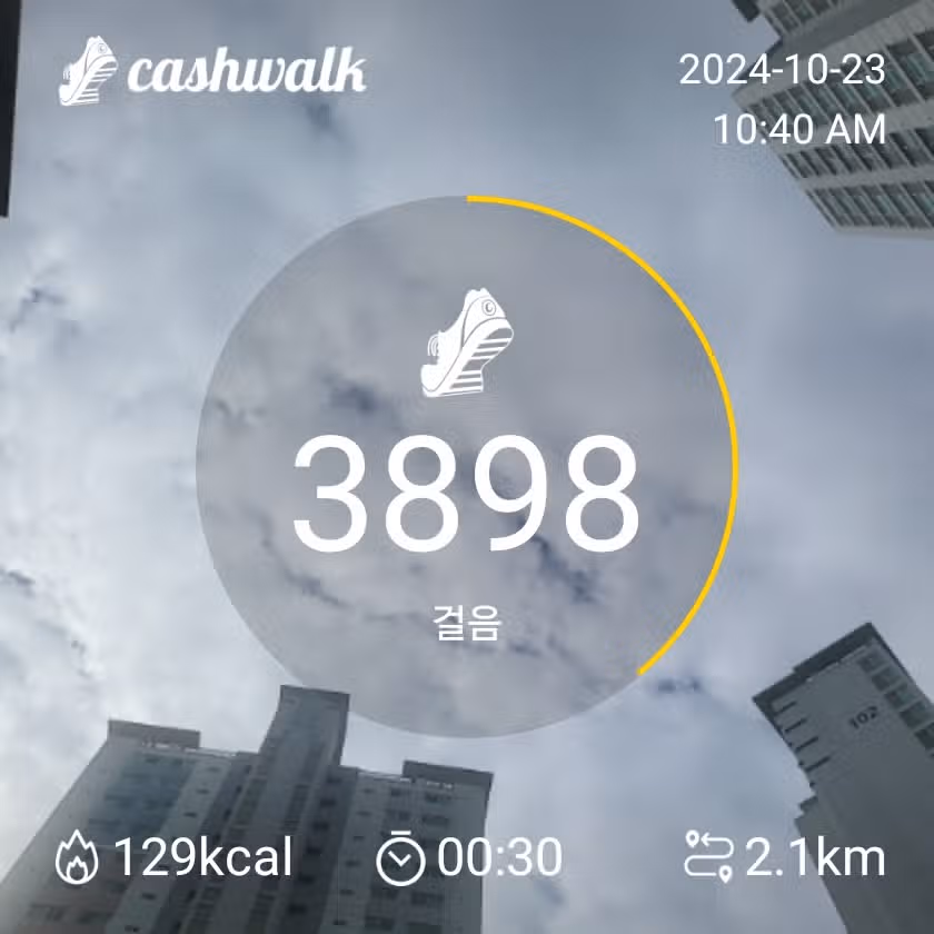 출근길 걸어요.ㅡ3천보걷기 달성했습니다 