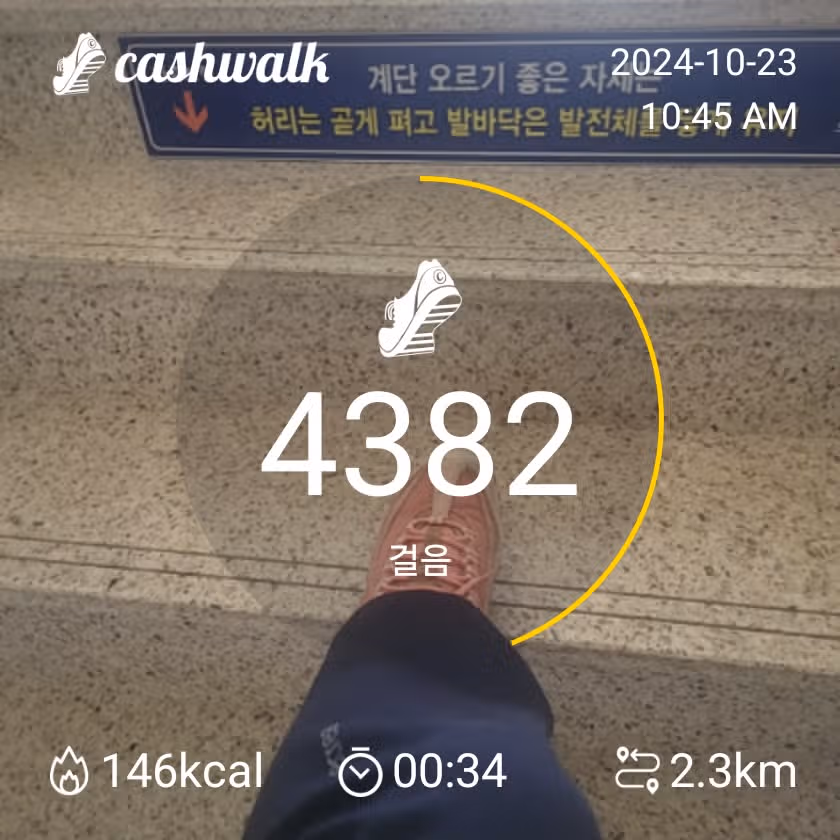 출근길 걸어요.ㅡ3천보걷기 달성했습니다 