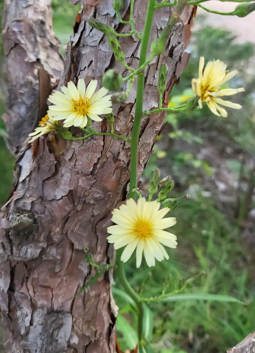 계단오르기 힘들어도 올라갑니다 