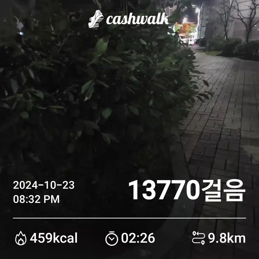 오늘도 만보걷기...^
