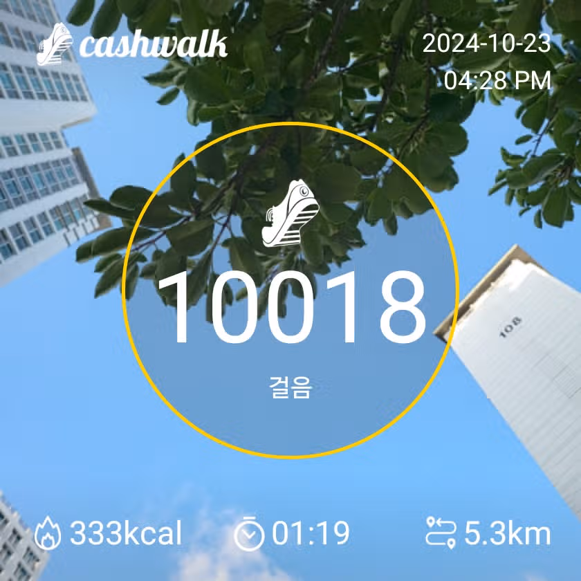 만보걷기와 계단오르기 