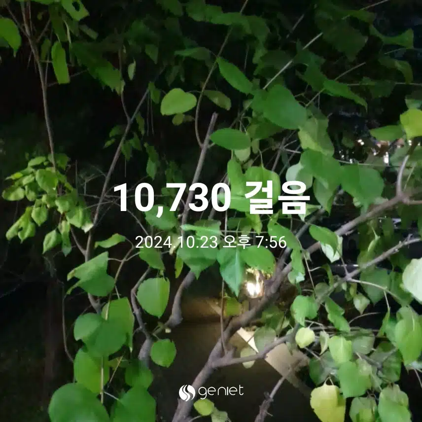 만보 걸었어요~~
