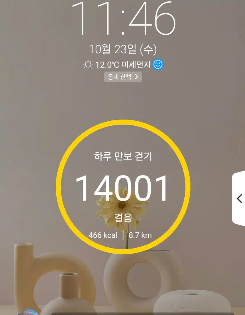 1만4천보 걷기