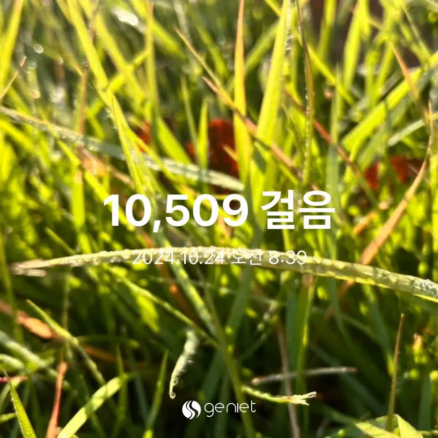 7830995.jpg