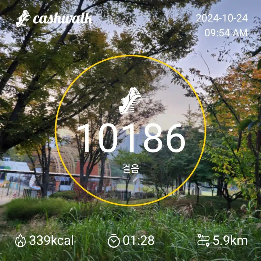 목요일 오운완 