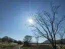 board-img
