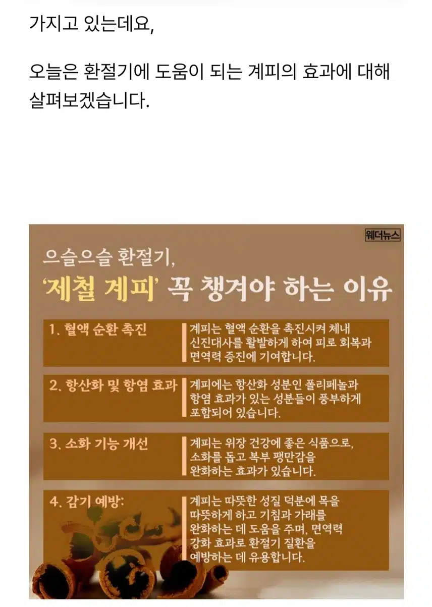 으슬으슬 환절기 제철 계피차 마셔요☕🫖