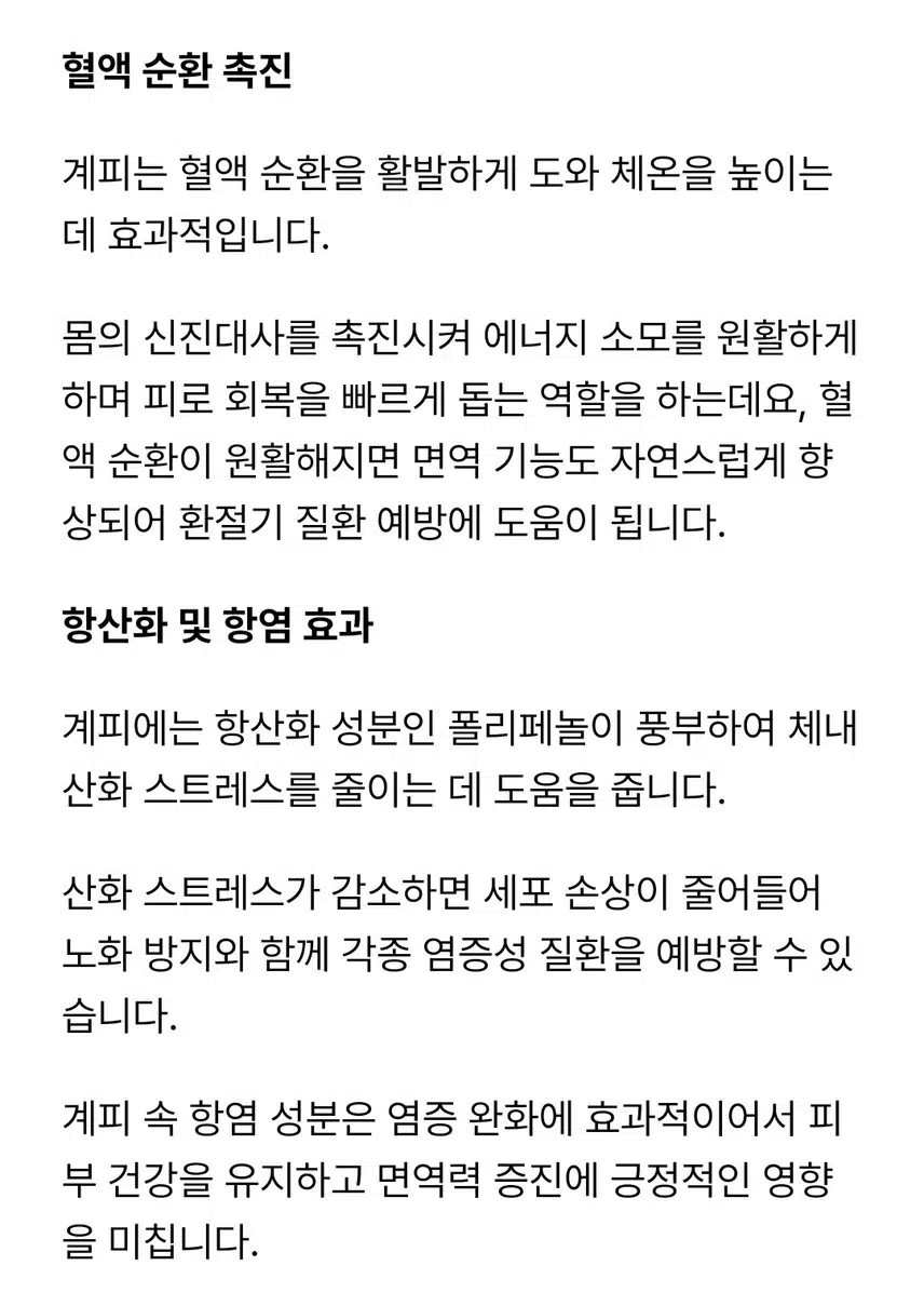 으슬으슬 환절기 제철 계피차 마셔요☕🫖