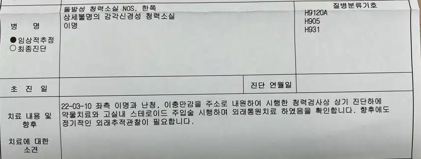 돌발성 난청과 동반된 '이명' 나만의 치료법 4가지 공유