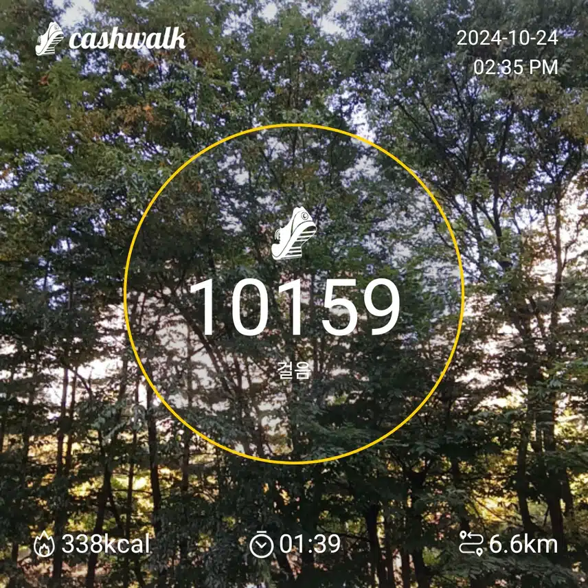 오늘도 걷기운동
