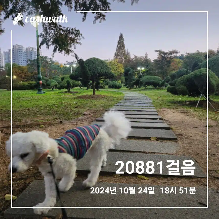 이만보 걷기
