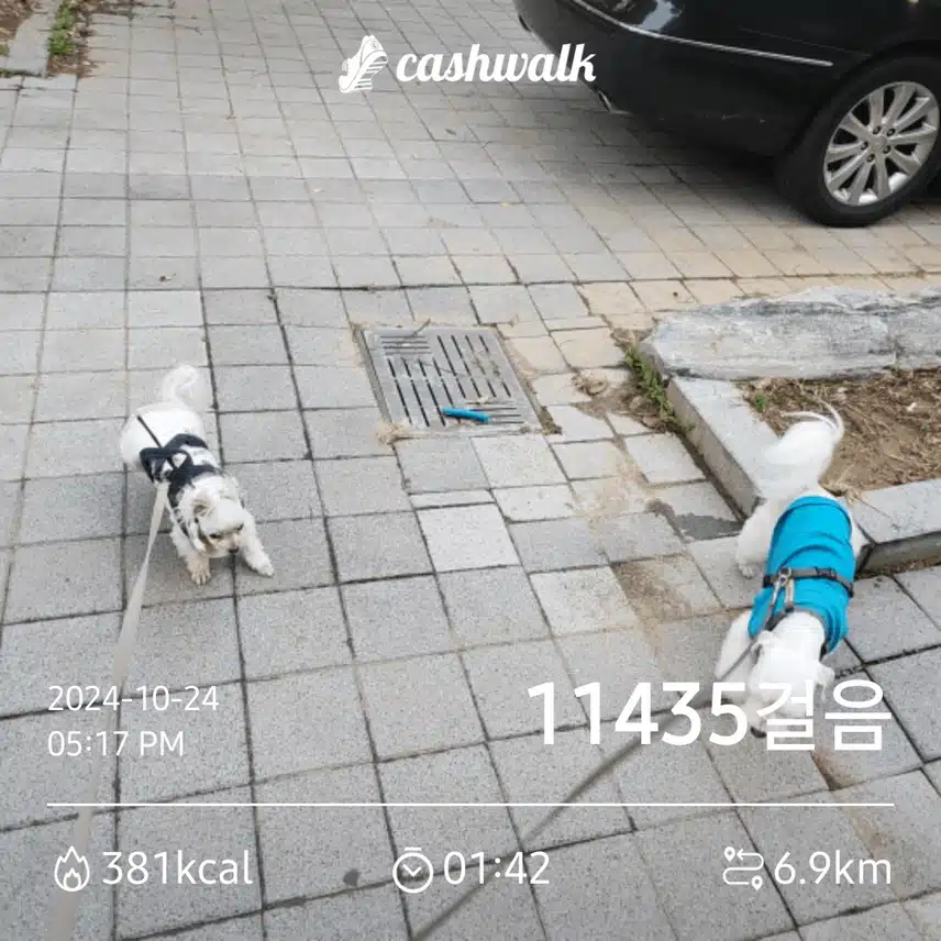 저 잘 했지요? 