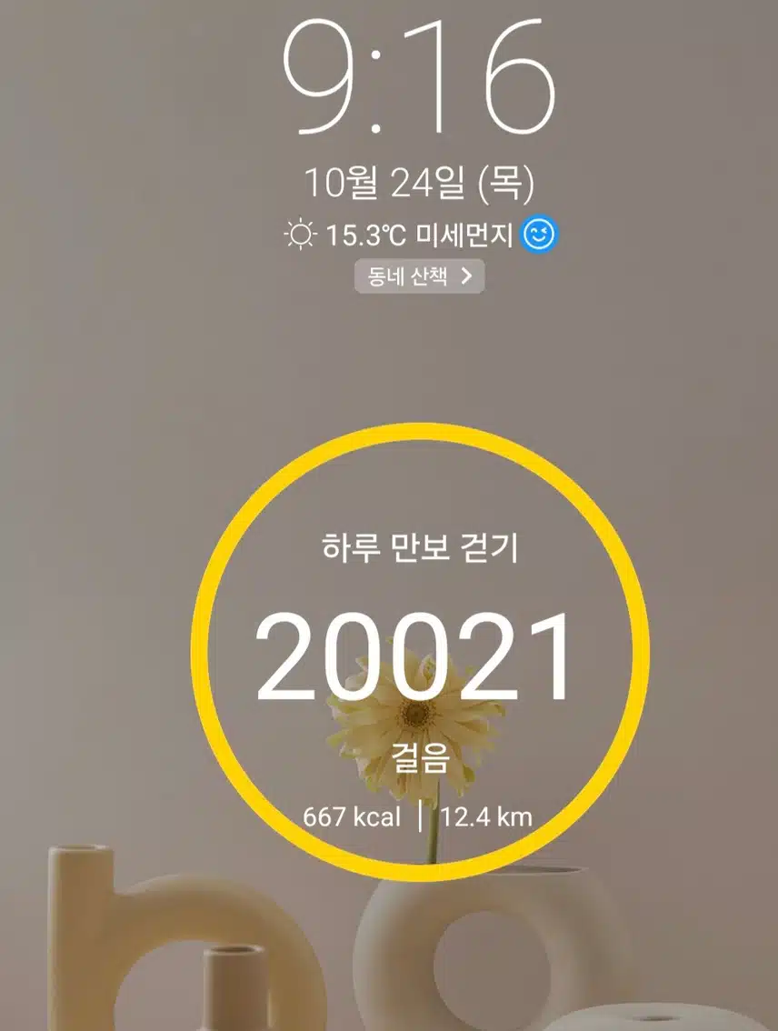 2만보 걷기 