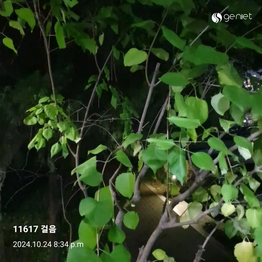 만보 했어요~~