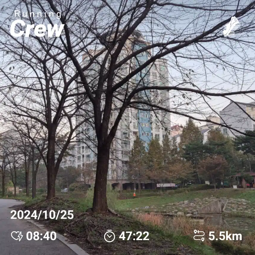 러닝크루인증