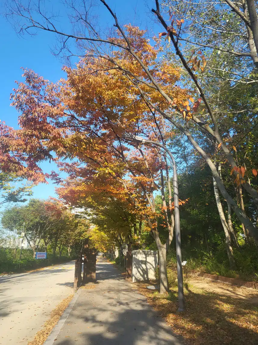 오늘도 뛰자ㅋ