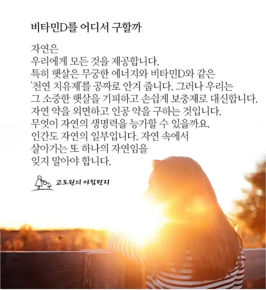 가을볕에 내 몸을 맡기자
