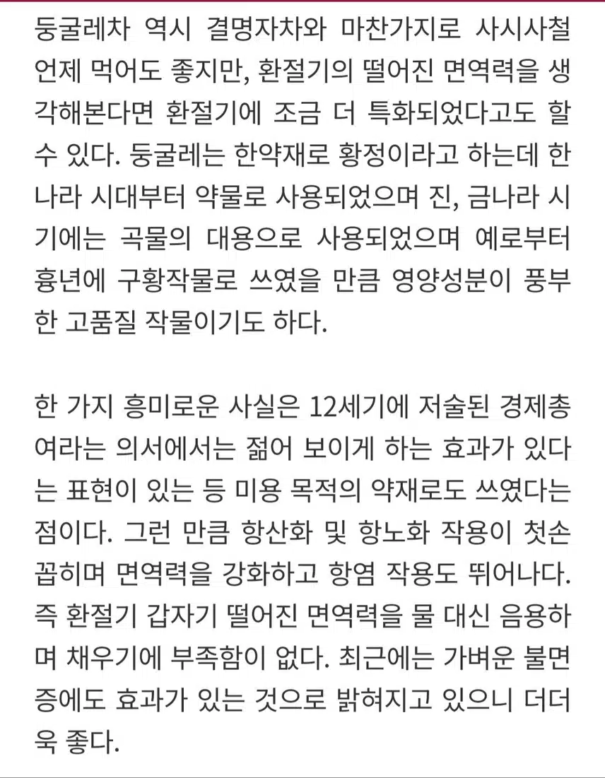 환절기 건강 지킴이 차