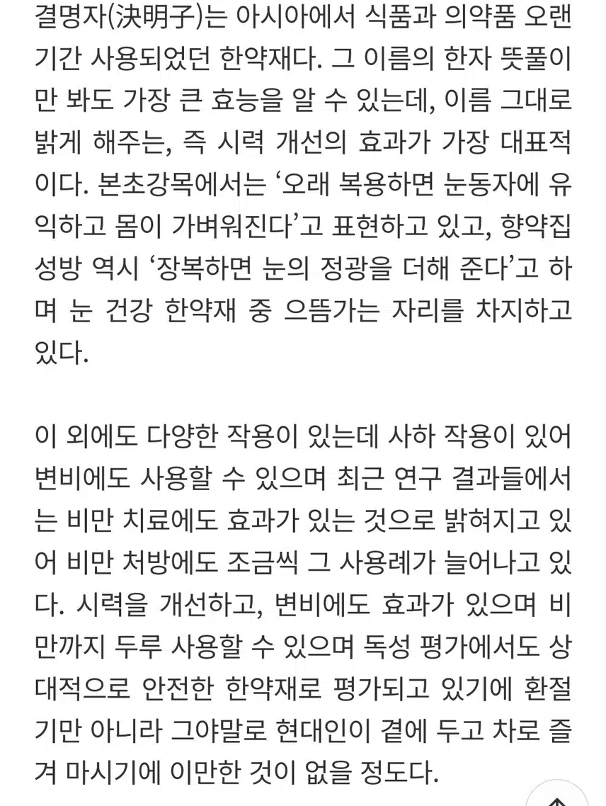 환절기 건강 지킴이 차