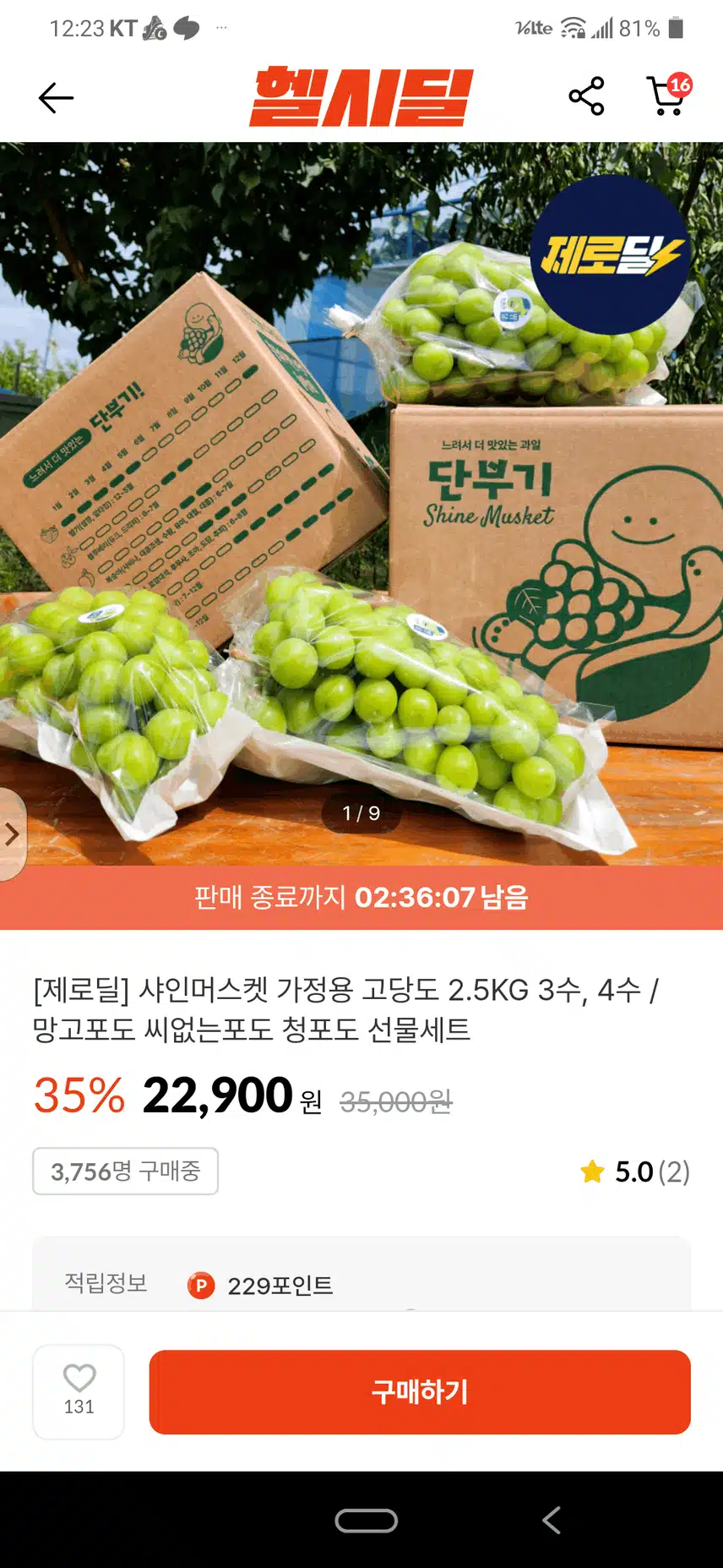 지금 진행중 제로딜 샤인머스캣 