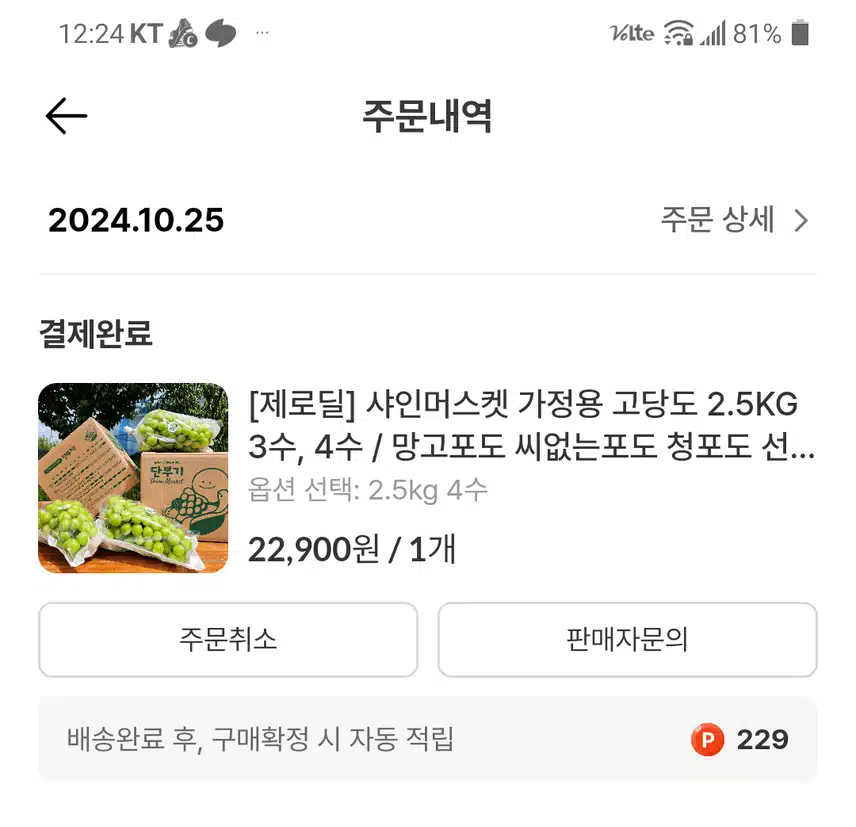 지금 진행중 제로딜 샤인머스캣 