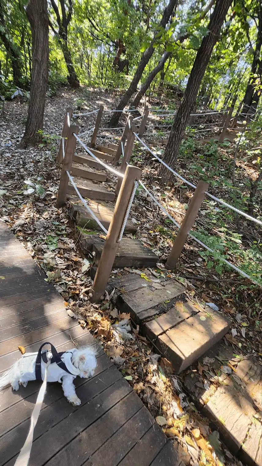 산으로 오늘은 산책나자자!