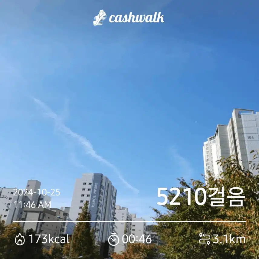 오늘은 오전에 5,000보 인증했네요