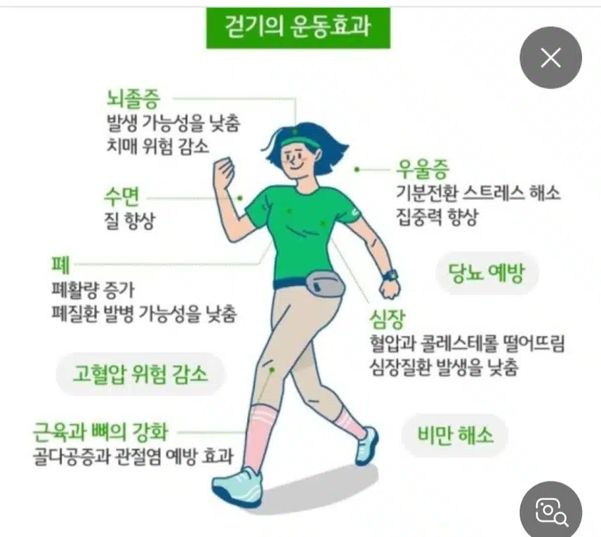 날씨가 흐려지네요. 만보걷기운동 완료 