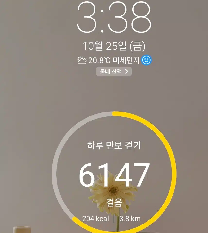 하루 6천보 걷기 