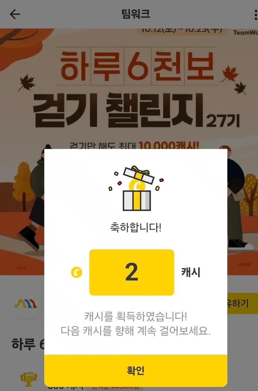 하루 6천보 걷기 인증 캐시 