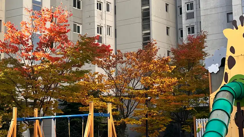  거리에 아파트 단지 단풍 🍁
