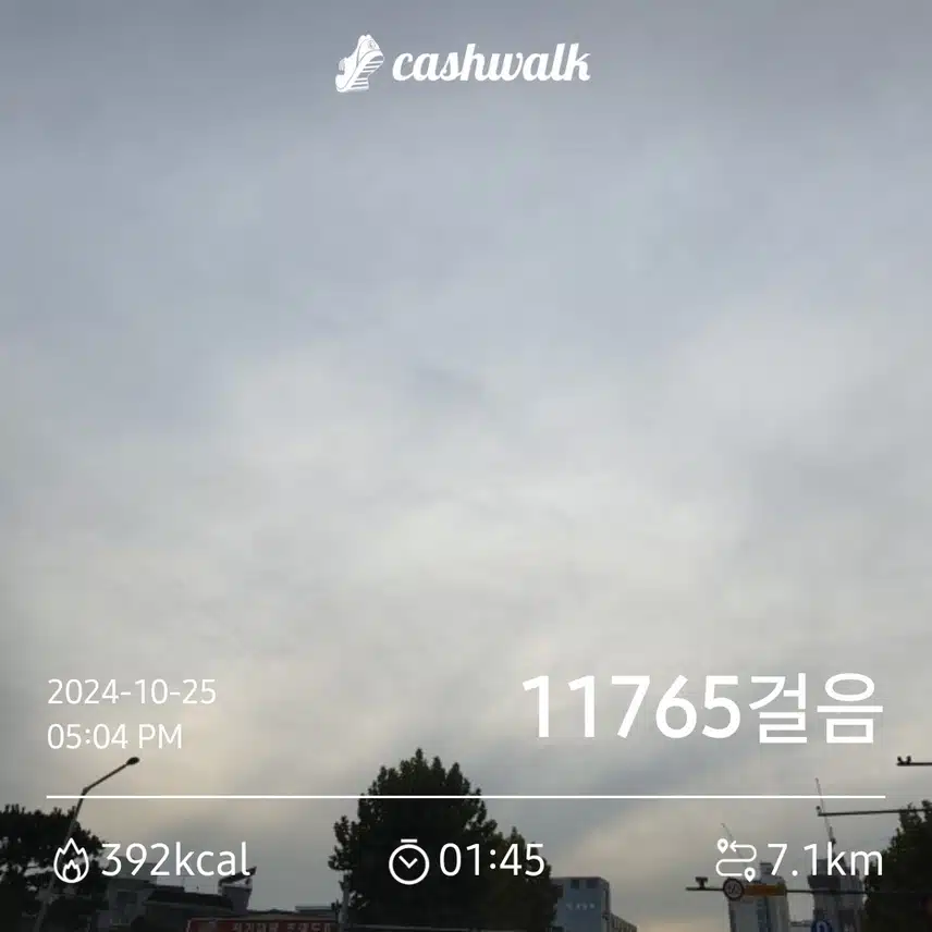 10.000보 인증합니다
